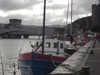 Hafen von Conwy mit Blick zur Burg