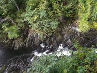 Klamm an den Swallow Falls