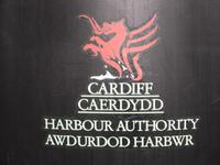 Der rote Drache von Wales