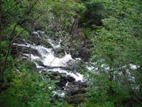 Swallow - Falls ( Snowdonia Nationalpark )