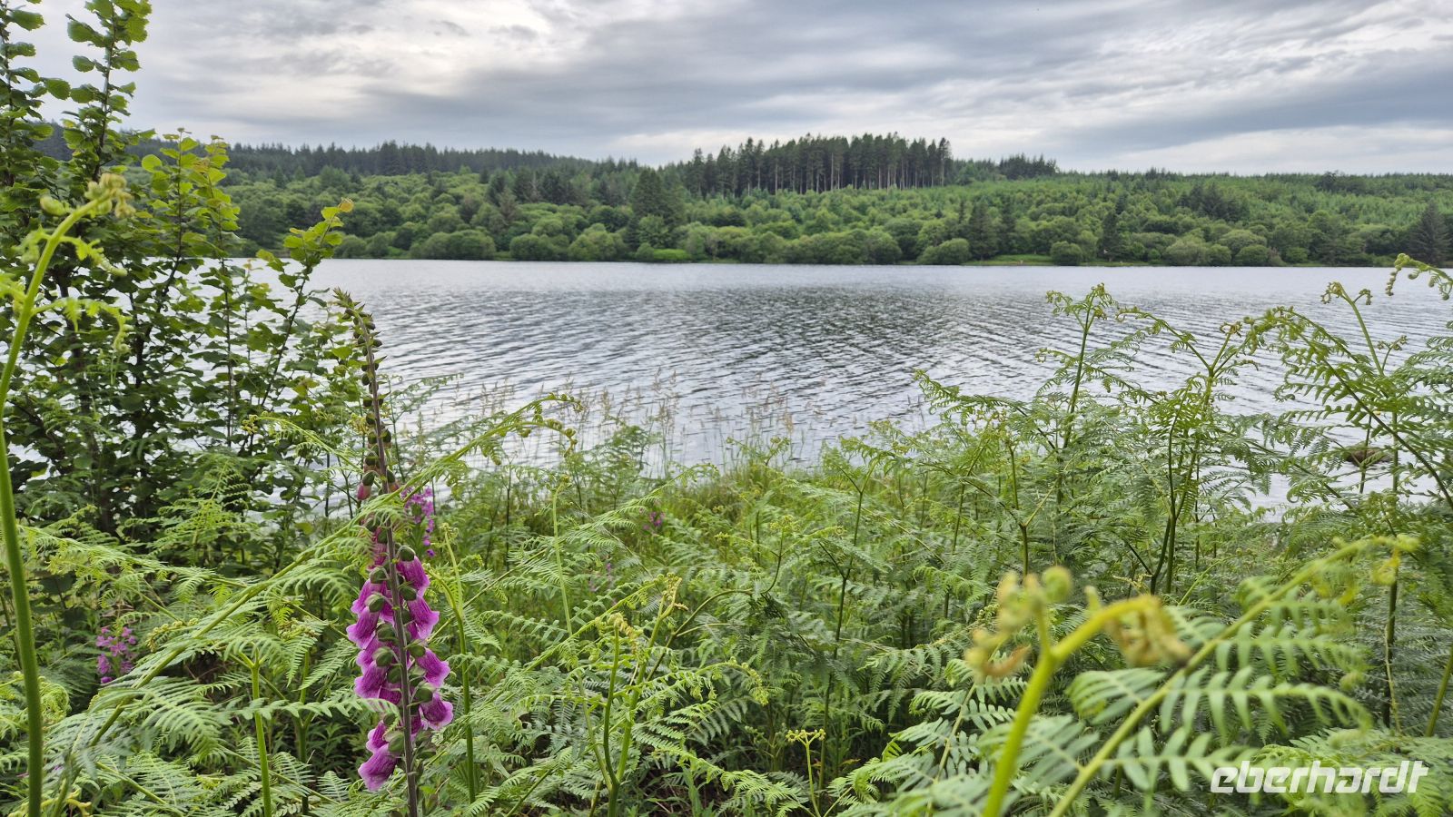 Brecon Beacons Nationalpark