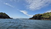 Skomer Island
