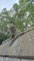 Cardiff: Animal Wall &ndash; &copy; Sinah Witzig (Eberhardt TRAVEL)