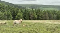 Bannau Brycheiniog (Brecon Beacons) Nationalpark &ndash; &copy; Sinah Witzig (Eberhardt TRAVEL)