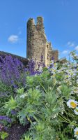 Caerphilly Castle &ndash; &copy; Sinah Witzig (Eberhardt TRAVEL)