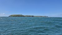 Skomer Island &ndash; &copy; Sinah Witzig (Eberhardt TRAVEL)