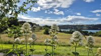 Menai Strait &ndash; &copy; Sinah Witzig (Eberhardt TRAVEL)