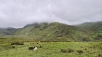 Eryri (Snowdonia) Nationalpark &ndash; &copy; Sinah Witzig (Eberhardt TRAVEL)