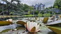 Bodnant Garden &ndash; &copy; Sinah Witzig (Eberhardt TRAVEL)