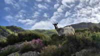 Eryri (Snowdonia) Nationalpark &ndash; &copy; Sinah Witzig (Eberhardt TRAVEL)