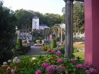 Portmeirion - 