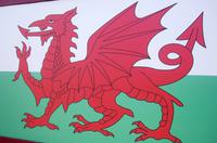 Roter Drache von Wales