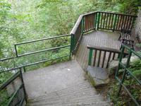 Abstieg zu den Swallow Falls