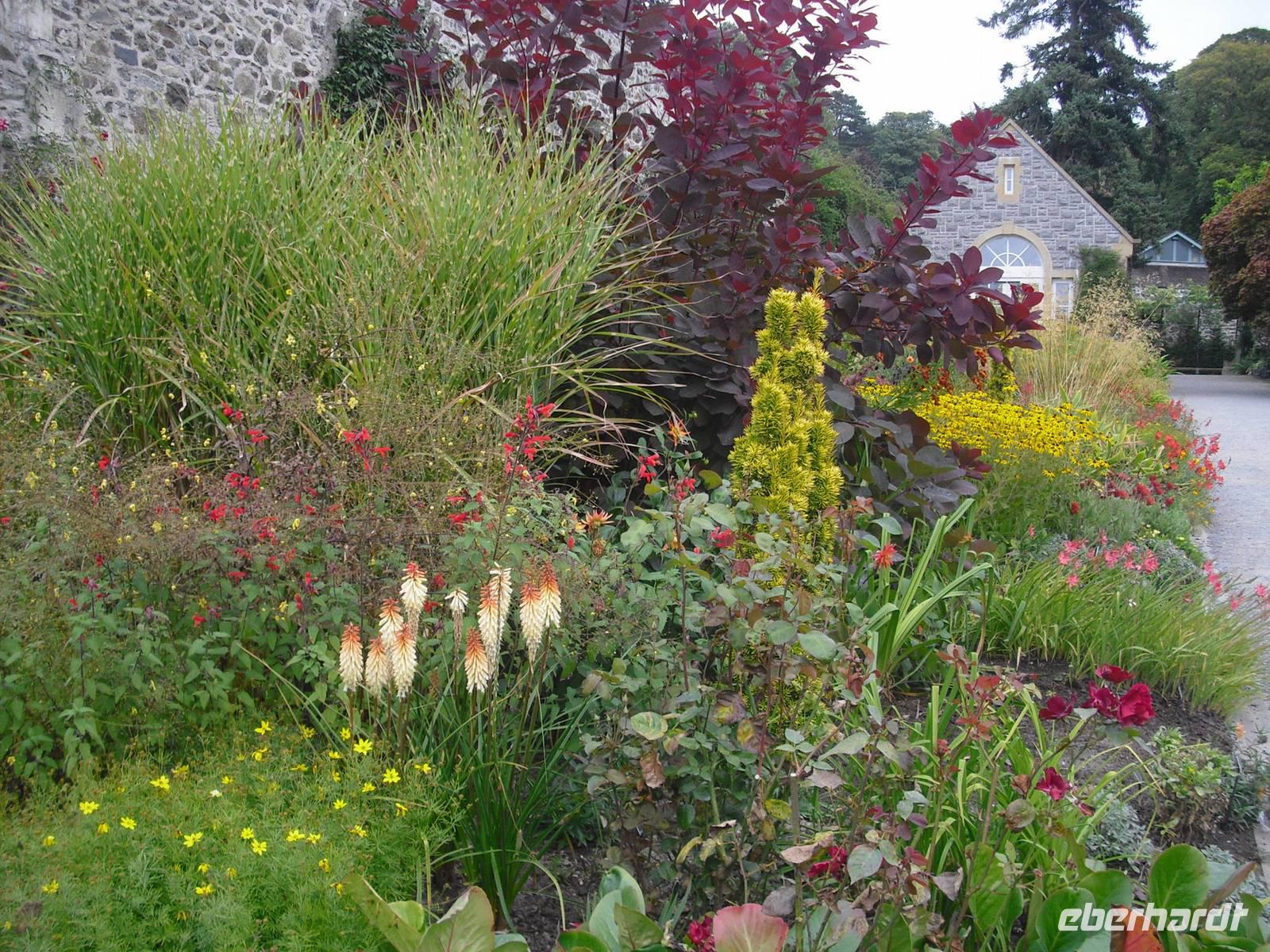 Bodnant Garden