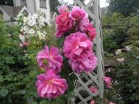 Bodnant Garden