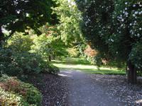 Bodnant Garden