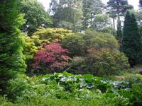 Bodnant Garden