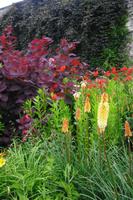Bodnant Garden