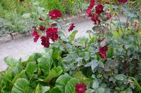 Bodnant Garden