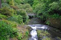 Bodnant Garden