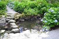 Bodnant Garden