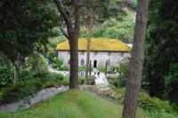 Bodnant Garden