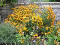 Bodnant Garden
