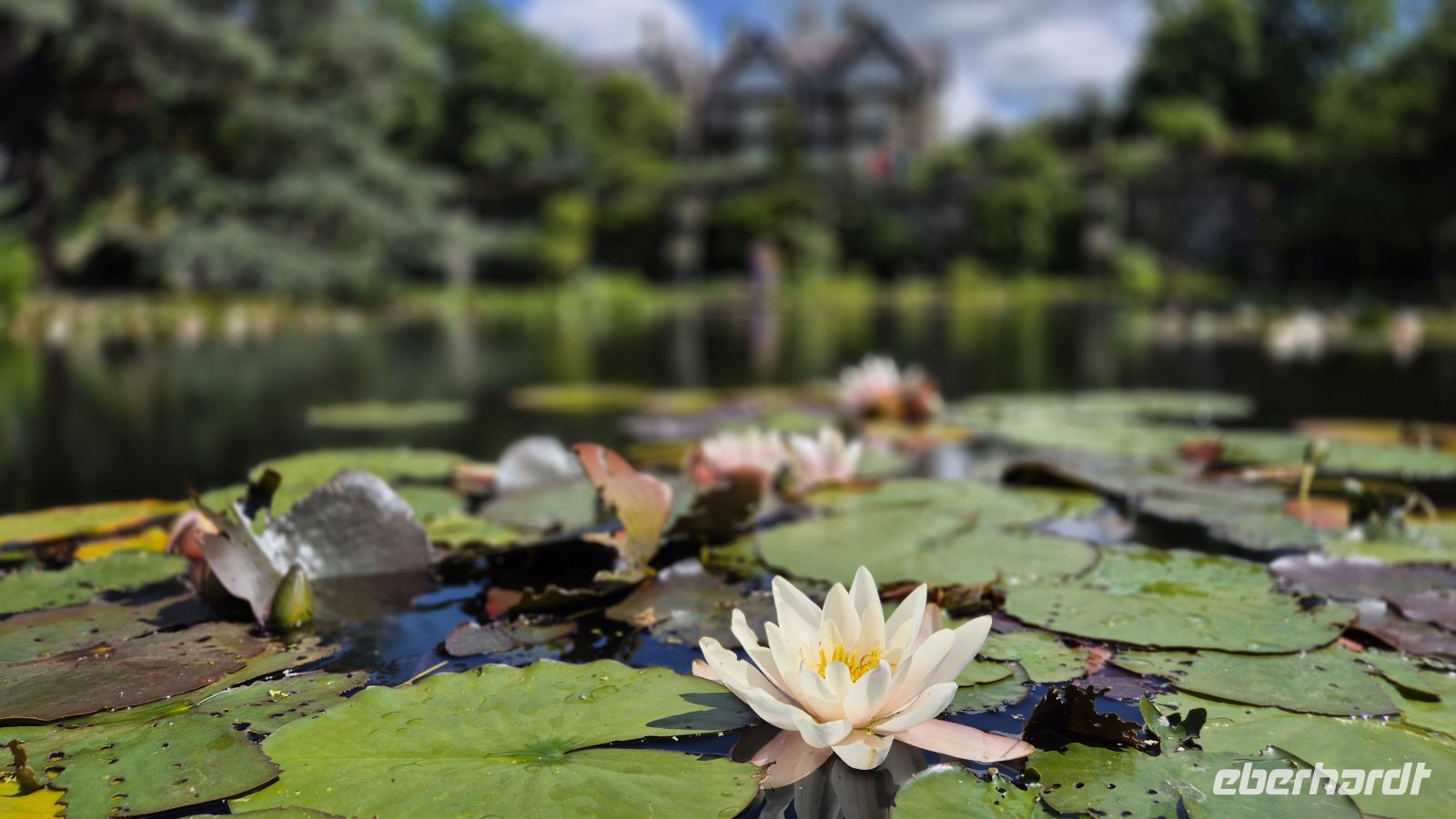 Bodnant Gardens