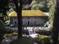 Bodnant Gardens