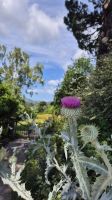 Bodnant Gardens