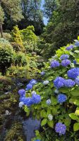 Bodnant Gardens