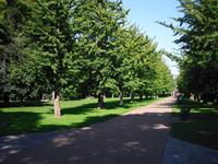 Cardiff 