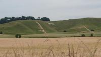 Das Weiße Pferd bei Avebury