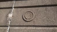 Die Herzmuschel, Symbol der Liebe in Wales