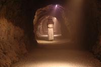 King Arthur´s Labyrinth in Corris - Wales (Archivaufnahme)