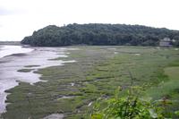 Laugharne - Wales