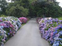 Portmeirion - Wales