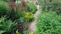 Schmale Wege im Bodnant Garden