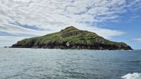 Skomer Island