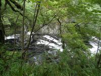 Swallow Falls