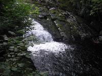 Swallow Falls