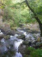 Swallow Falls
