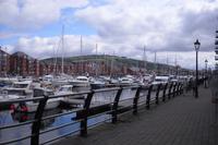 Swansea 