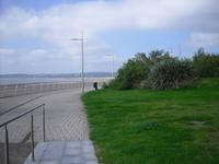 Swansea