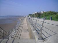 Swansea
