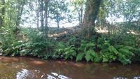 Unterwegs mit dem Narrowboat