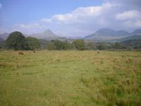 Von Porthmadog nach Caernarfon 