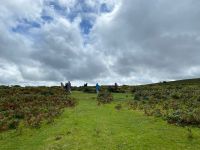 ..ins Dartmoor!