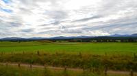 0097 Strathspey Railway, Speyside