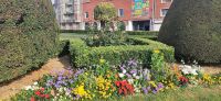 011 Callais, Rathausplatz